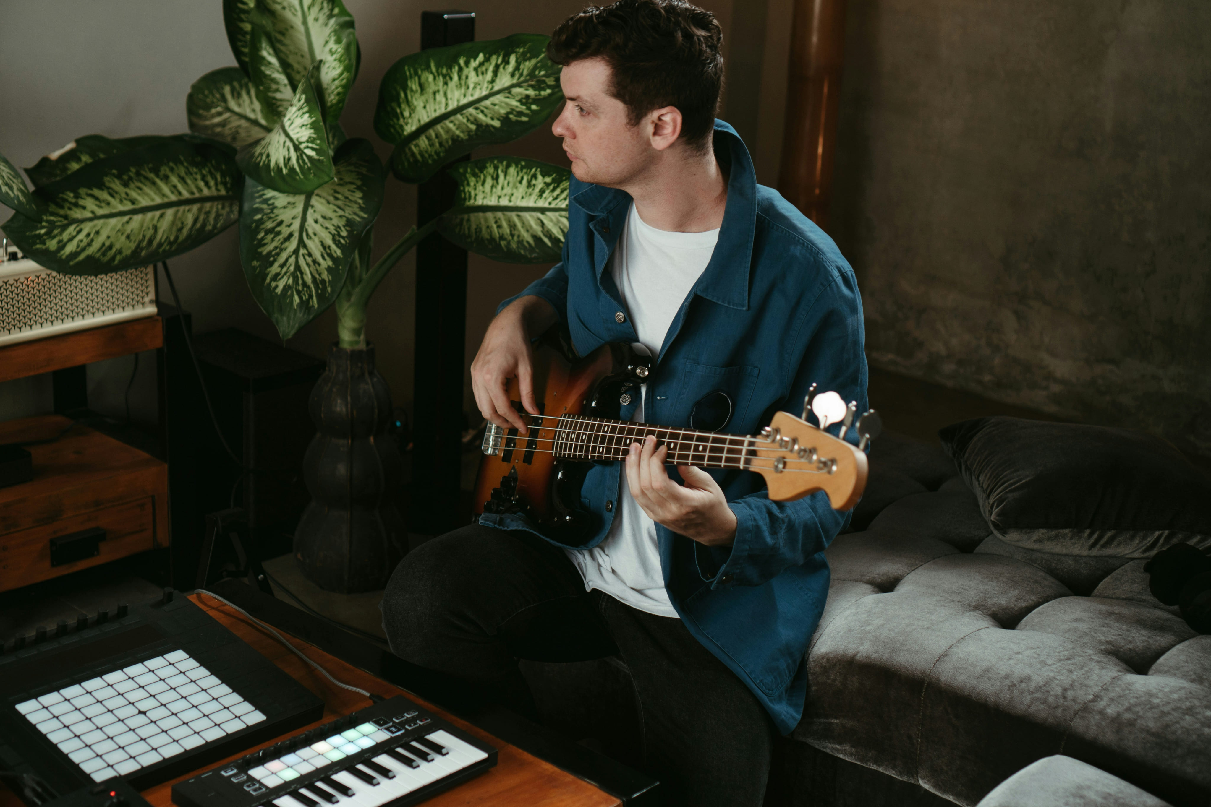Independent creators and musicians